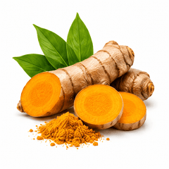 Curcuma