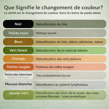 Spa Ionique pour les Pieds- Lensa